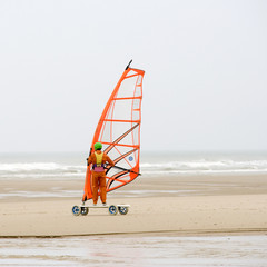 S. Glisse #3
