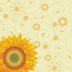 Background  with  sunflower