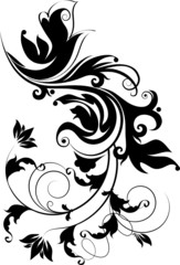 Fototapeta premium Floral design element