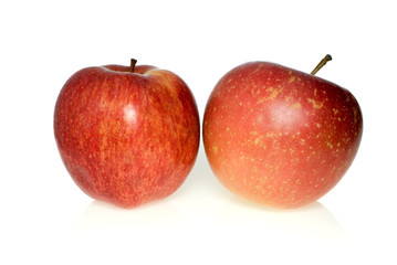 Two red apples of different breeds