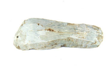 Primeval scraper made of a bone