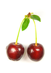 Pair of cherries isolated on white