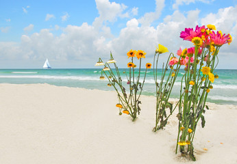 Flower bouquets on beach