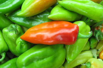 Paprika orange with green peppers