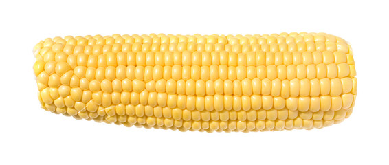 sweetcorn cob, isolated