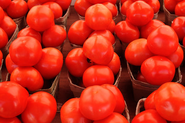 Tomatoes