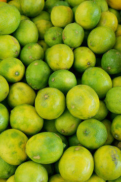 Key Lime
