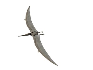 Pteranodon © Paul Moore