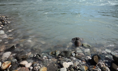 Pebble and coastline texture of river