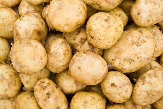 potatoes background