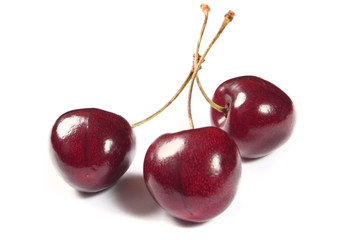 cherries on white background