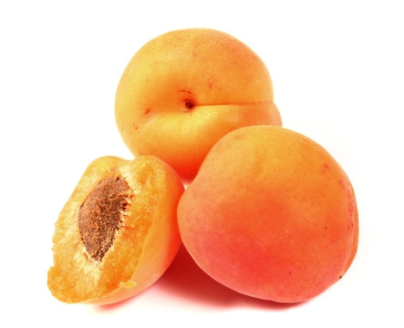 Apricots isolated on a white background