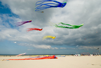 kites in the sky at beach