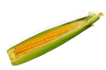 Corn on the white background