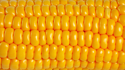Detail of corn