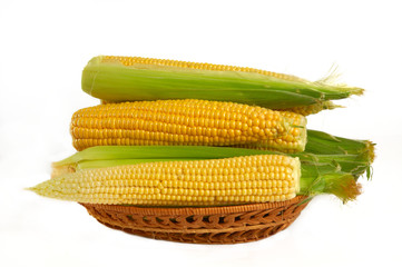 Corn on the white background