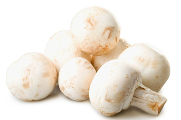 Fresh mushrooms