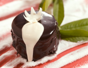 Chocolate cake with white cream on top