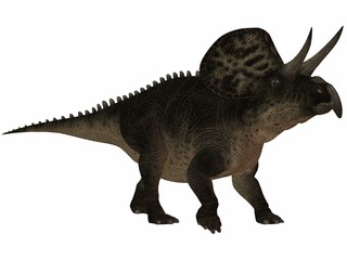 Zuniceratops-3D Dinosaurier