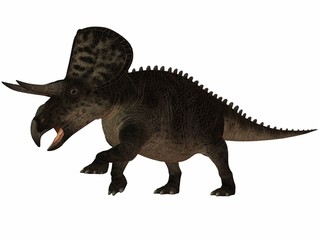 Zuniceratops-3D Dinosaurier