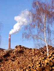 Biomass power plant