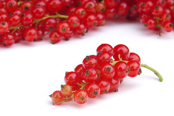 Johannisbeere - currant 15