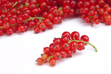 Johannisbeere - currant 16
