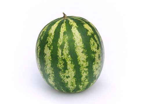 Melone - watermelon 08