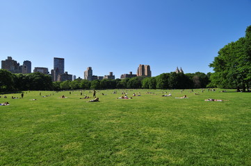 Fototapeta premium Central Park and Blue Sky