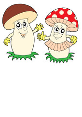 Mushroom and toadstool vector illustration