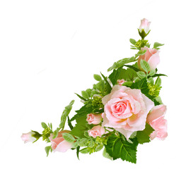 Rosenecke 2
