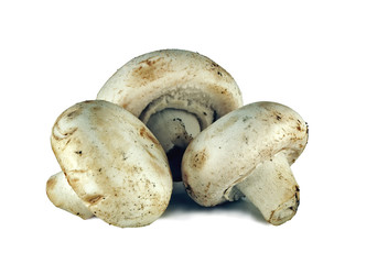 Champignons
