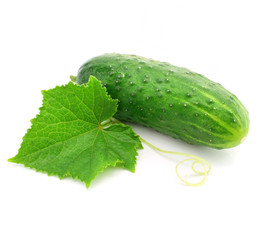 green cucumber vegetable fruit with leaf isolated