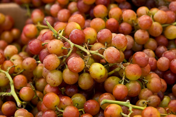Muscat grapes
