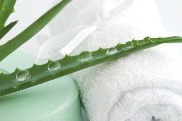 healthcare and body treatment