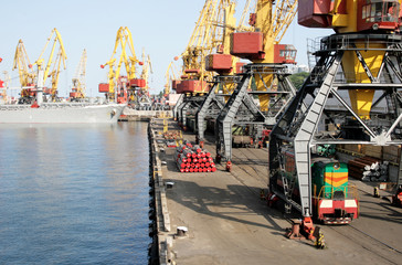 Harbour of trading port with a vessel cranes