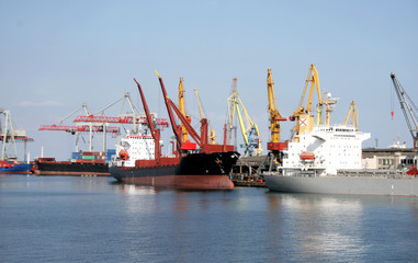 Fototapeta premium dry-cargo ships cost at moorings of port under unloading