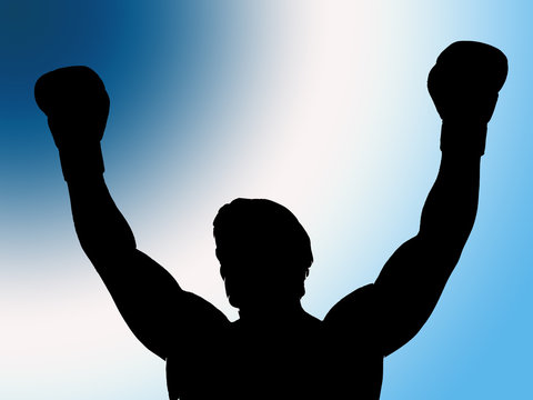 Boxer