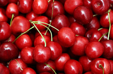 freshly picked heap of cherries