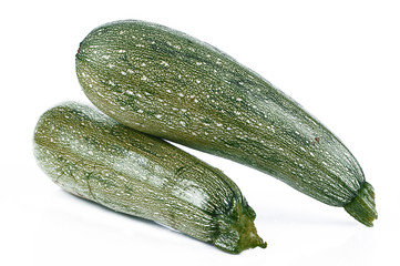 Zucchine 4