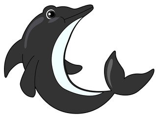 Dolphin
