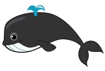 Whale
