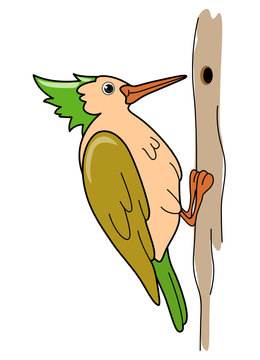 recommend clip art: Woodpecker
