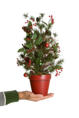 Little Christmas Tree