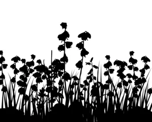 Zelfklevend Fotobehang Zwart wit bloemen weidegras