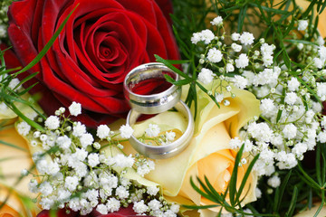 ringe