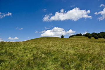 Colline