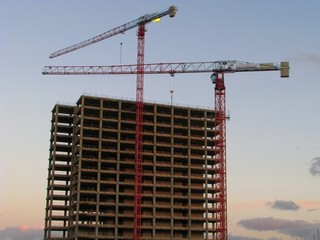 Cranes