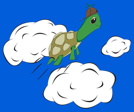 Flying tourtle