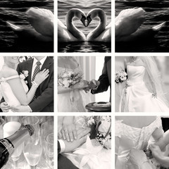 wedding photos collection